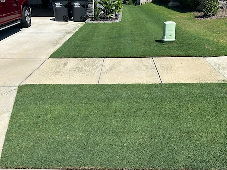 When Should You Fertilize Your Lawn in Savannah, Georgia?