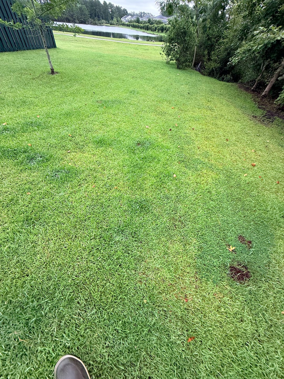 Top Quality Lawn Care Services in Richmond Hill, GA