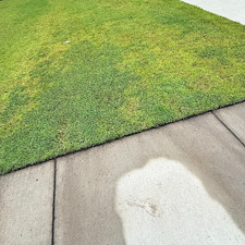 Top-Quality-Lawn-Care-Services-in-Richmond-Hill-GA 6