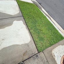 Top-Quality-Lawn-Care-Services-in-Richmond-Hill-GA 5