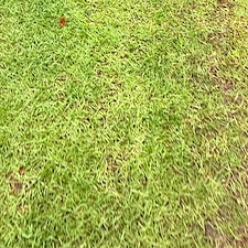 Top-Quality-Lawn-Care-Services-in-Richmond-Hill-GA 4