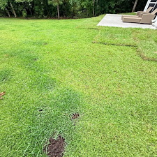 Top-Quality-Lawn-Care-Services-in-Richmond-Hill-GA 2