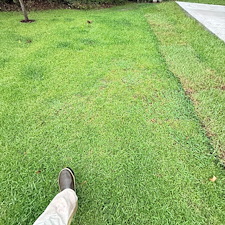 Top-Quality-Lawn-Care-Services-in-Richmond-Hill-GA 1