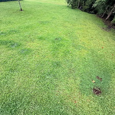 Top-Quality-Lawn-Care-Services-in-Richmond-Hill-GA 0