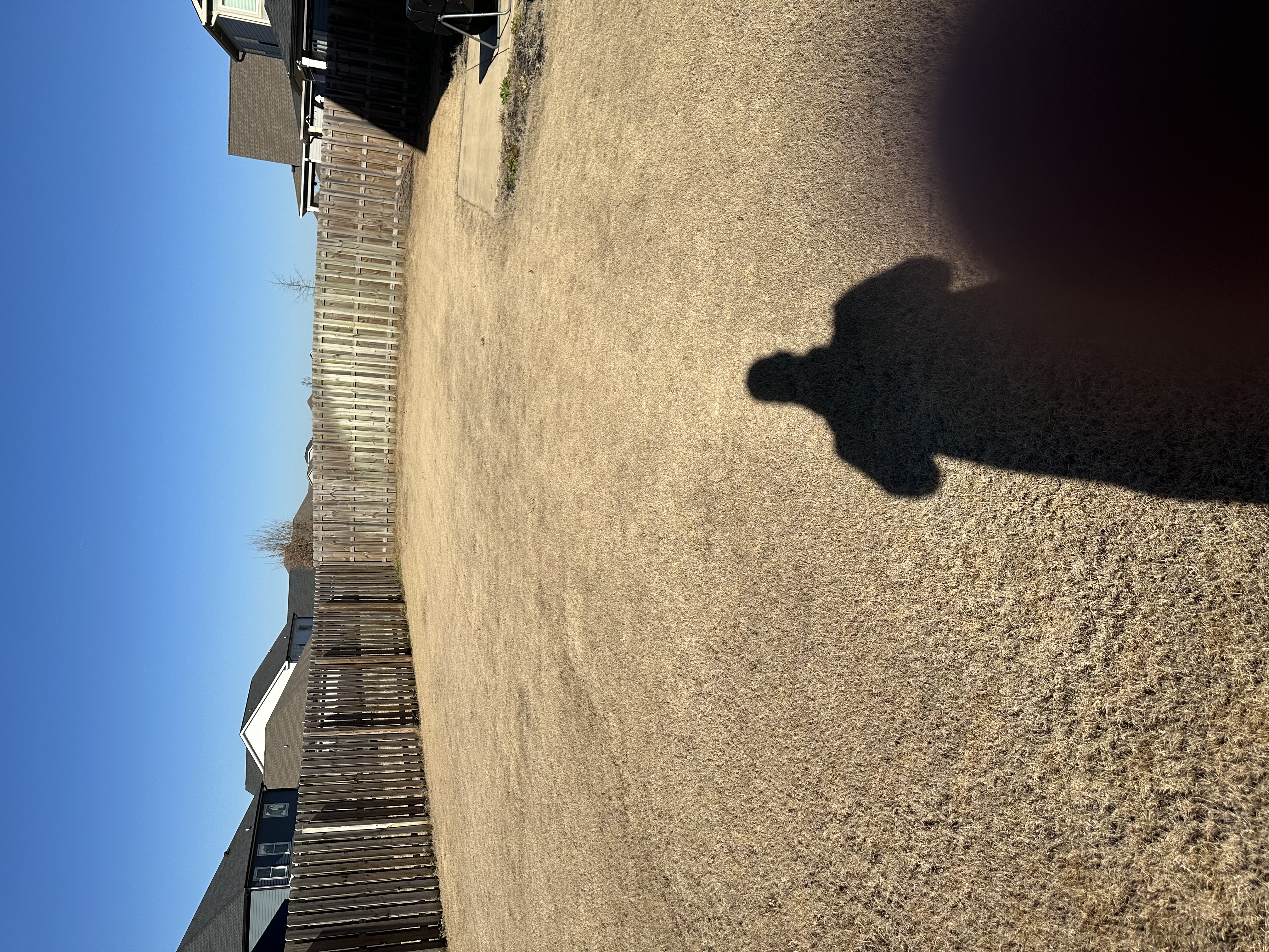 Weed free lawn with granular pre emergent