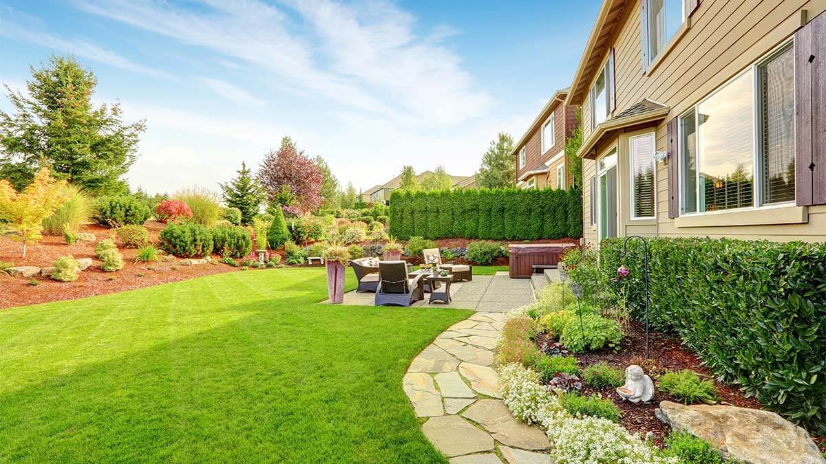 Backyard Lawn