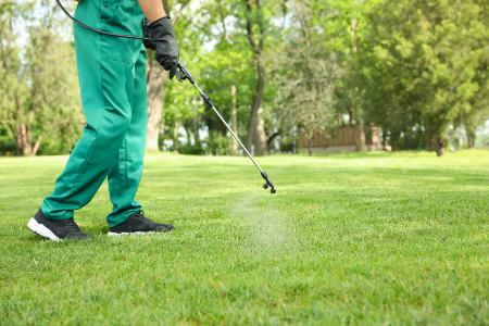 Insecticide Application
