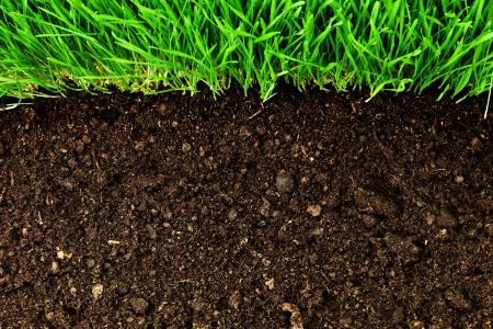 Soil Amendments