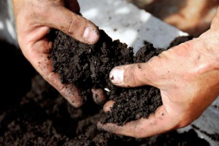 Soil Sampling